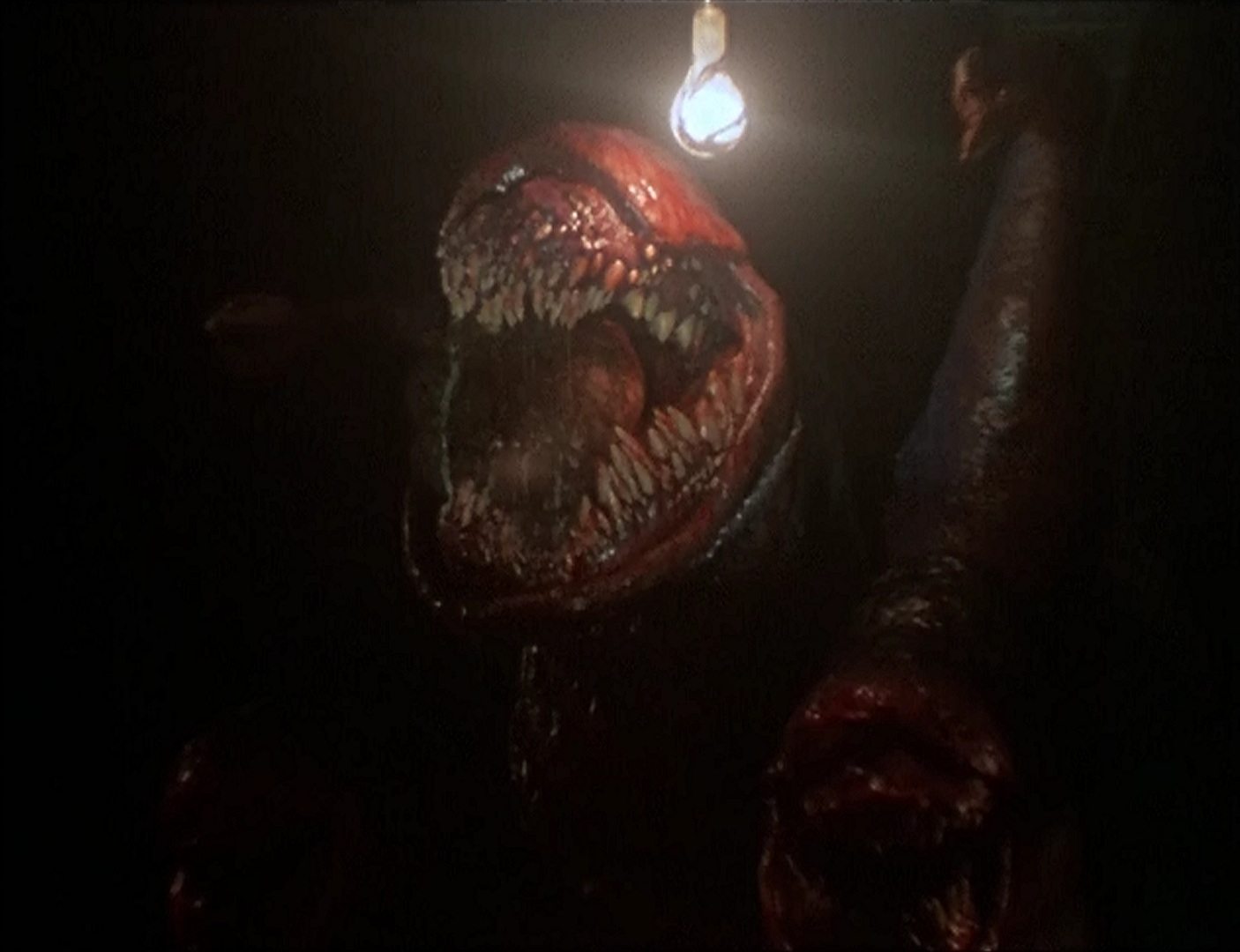 http://sinsofcinema.com/Images/Deadly%20Spawn/Deadly%20Spawn%20Synapse.jpg